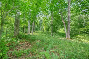 8558 Monterey Dr, Evart, MI 49631 - Photo 31