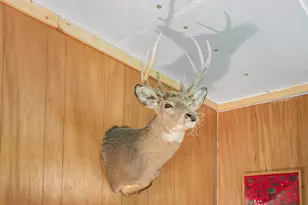 8558 Monterey Dr, Evart, MI 49631 - Photo 49