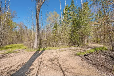 8558 Monterey  Dr, Evart, MI 49631 - Photo 119