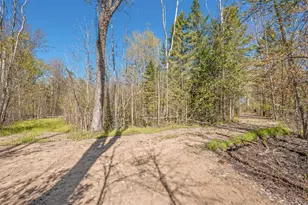 8558 Monterey Dr, Evart, MI 49631 - Photo 119