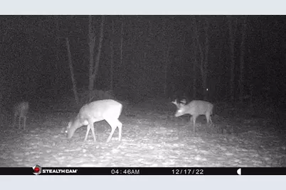 8558 Monterey  Dr, Evart, MI 49631 - Photo 87