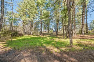 8558 Monterey Dr, Evart, MI 49631 - Photo 107