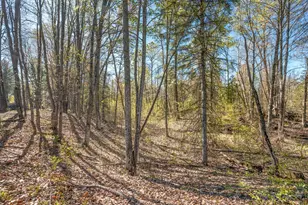8558 Monterey Dr, Evart, MI 49631 - Photo 93