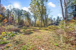 8558 Monterey Dr, Evart, MI 49631 - Photo 99