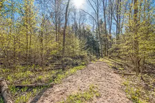 8558 Monterey Dr, Evart, MI 49631 - Photo 113