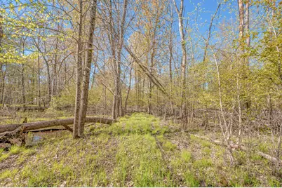 8558 Monterey  Dr, Evart, MI 49631 - Photo 121