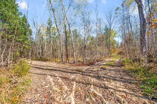 8558 Monterey Dr, Evart, MI 49631 - Photo 143