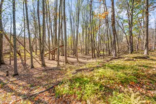 8558 Monterey Dr, Evart, MI 49631 - Photo 141