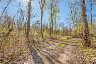 8558 Monterey Dr, Evart, MI 49631 - Photo 111
