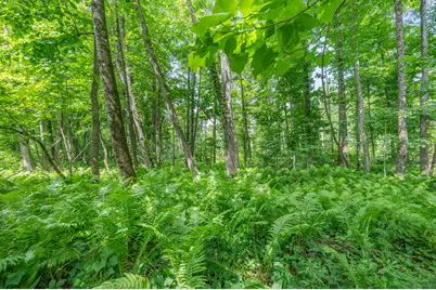 8558 Monterey  Dr, Evart, MI 49631 - Photo 29