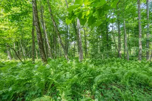 8558 Monterey Dr, Evart, MI 49631 - Photo 29