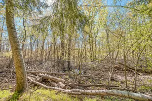 8558 Monterey Dr, Evart, MI 49631 - Photo 115