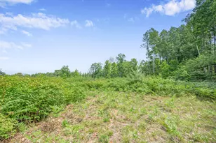 8558 Monterey Dr, Evart, MI 49631 - Photo 55