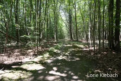 16549 Taft Road, Spring Lake, MI 49456 - Photo 19