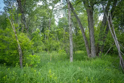 5304 N Peacock Trail, Baldwin, MI 49304 - Photo 17
