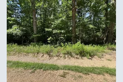 V/L National Parkway #25, Union Pier, MI 49129 - Photo 5