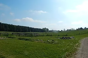 8475 Gurd Rd, Dowling, MI 49050 - Photo 41