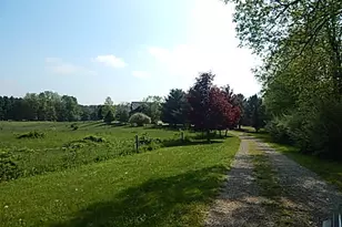 8475 Gurd Rd, Dowling, MI 49050 - Photo 47