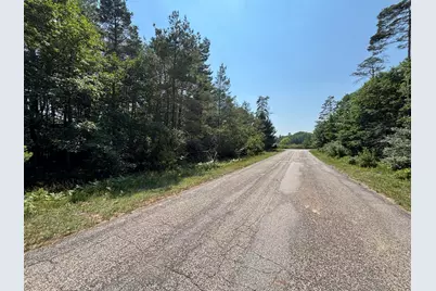 10951 Dobbyn Drive #51, Canadian Lakes, MI 49346 - Photo 5