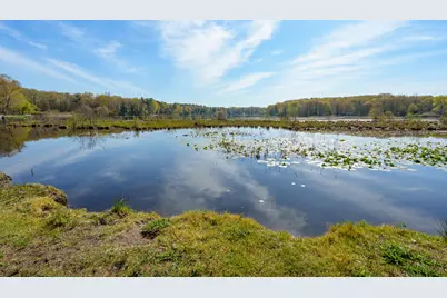 11131 Co Rd 215, Grand Junction, MI 49056 - Photo 3