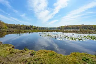 11131 Co Rd 215, Grand Junction, MI 49056 - Photo 3