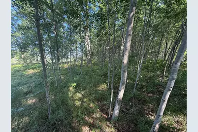 Tbd W Royal Road #2, Stanwood, MI 49346 - Photo 9