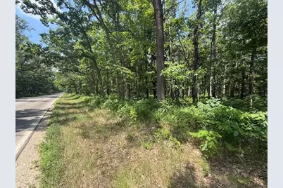 Vl Cleveland Drive, Bitely, MI 49309 - Photo 3