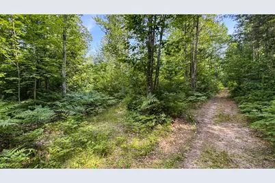 180 E Sanborn Road, Lake City, MI 49651 - Photo 33