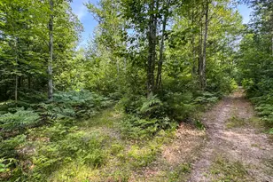 180 E Sanborn Rd, Lake City, MI 49651 - Photo 33