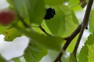 72 E Grand Ave, Muskegon, MI 49442 - Photo 57