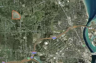 3345 Beach Rd, Port Huron, MI 48060 - Photo 41