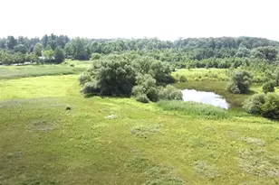 3345 Beach Rd, Port Huron, MI 48060 - Photo 27