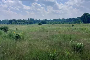 3345 Beach Rd, Port Huron, MI 48060 - Photo 29