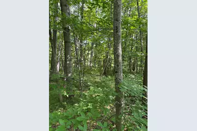 3628 Indian Trail Crossing, Hersey, MI 49639 - Photo 3