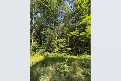 3628 Indian Trail Crossing, Hersey, MI 49639 - Photo 1