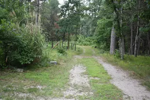 2350 S Burke Cir, Baldwin, MI 49304 - Photo 27