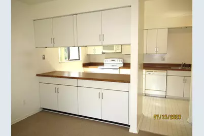 1 Westbury Court, Ann Arbor, MI 48105 - Photo 11