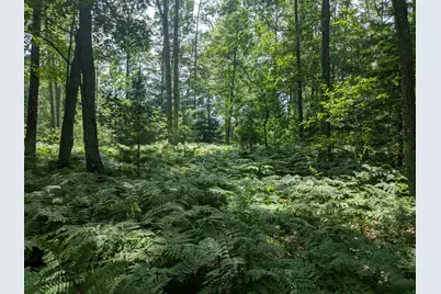 V/L Caberfae Highway, Manistee, MI 49660 - Photo 7