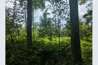 V/L Caberfae Highway, Manistee, MI 49660 - Photo 5