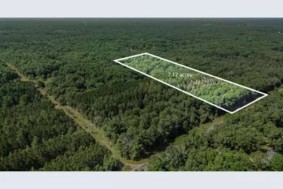 Lot F Hayes Road, Mecosta, MI 49332 - Photo 1