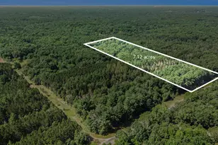 Lot F Hayes Rd, Mecosta, MI 49332 - Photo 1