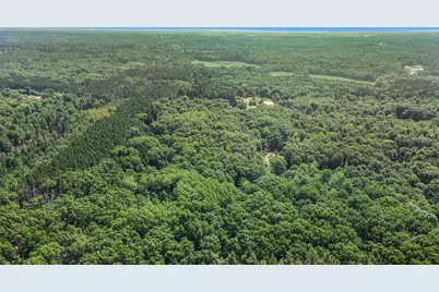 Lot F Hayes Road, Mecosta, MI 49332 - Photo 15