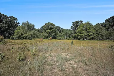 Lot F Hayes Road, Mecosta, MI 49332 - Photo 27