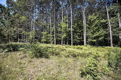 Lot F Hayes Road, Mecosta, MI 49332 - Photo 21
