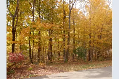 1 Harlan Drive, Watervliet, MI 49098 - Photo 3