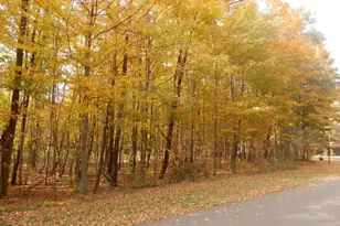 1 Harlan Dr, Watervliet, MI 49098 - Photo 1