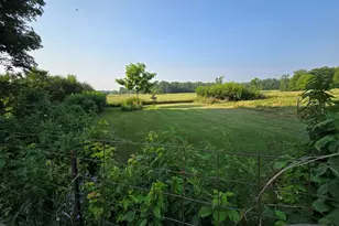 9791 S Hillsdale Rd, Hillsdale, MI 49242 - Photo 57