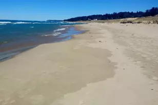 8568 S Portage Point Dr, Onekama, MI 49675 - Photo 23