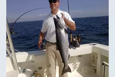 8568 S Portage Point Drive #Unit 3 (DH 4), Onekama, MI 49675 - Photo 31