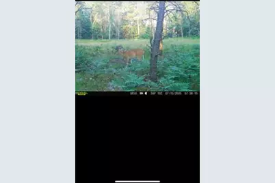 4177 S Michway, Baldwin, MI 49304 - Photo 35